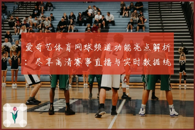 爱奇艺体育网球频道功能亮点解析:尽享高清赛事直播与实时数据统计