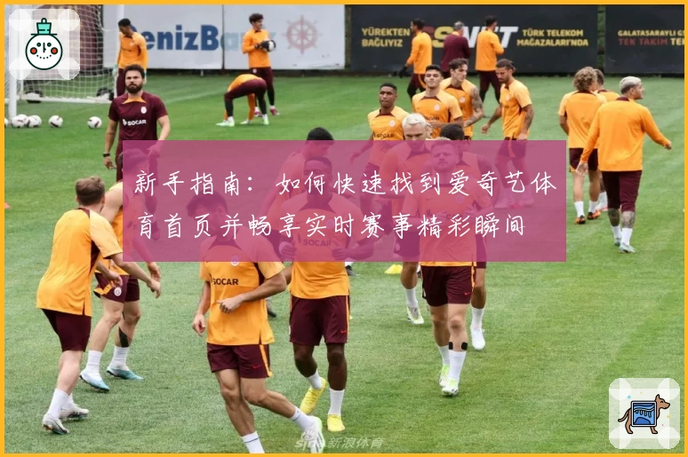 新手指南：如何快速找到爱奇艺体育首页并畅享实时赛事精彩瞬间