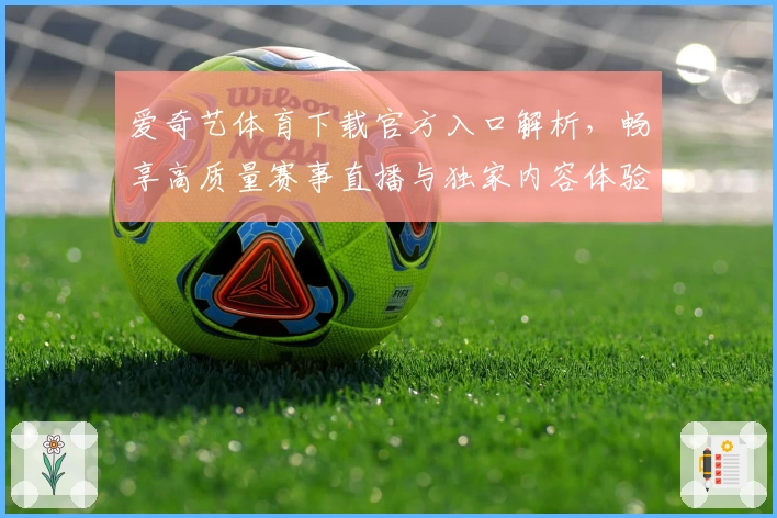 爱奇艺体育下载官方入口解析，畅享高质量赛事直播与独家内容体验